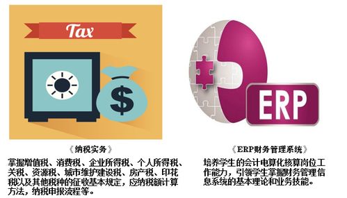 湖南商務職業(yè)技術學院會計學院 聚焦財務管理與金融中介服務的人才培養(yǎng)高地